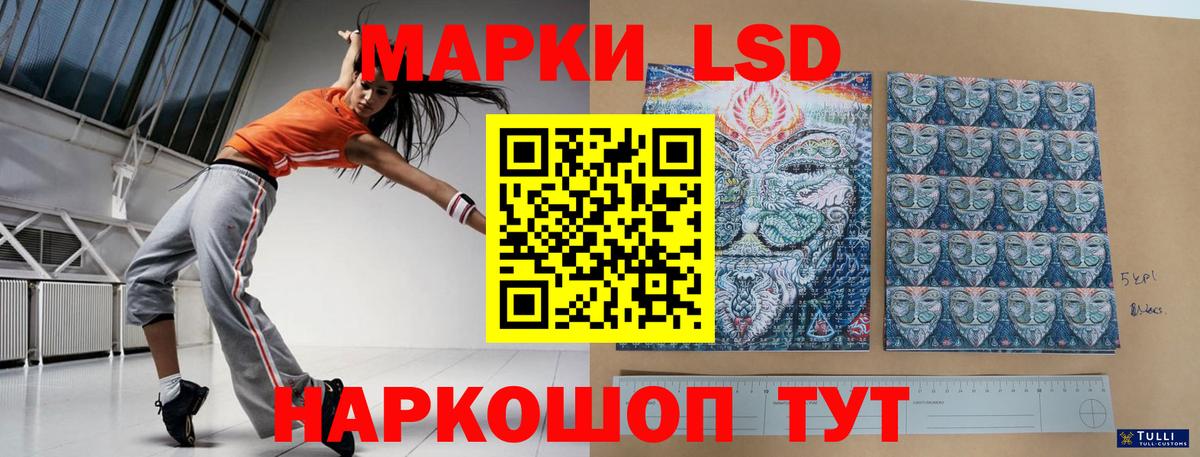 Новодвинск  Лсд 25 экстази  Вход с VPN  LSD-25 экстази кислота 
