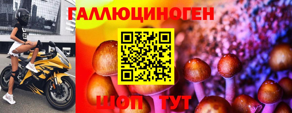 Галлюциногенные грибы Magic Shrooms  Вход с VPN  Псилоцибиновые грибы мицелий  Новодвинск 