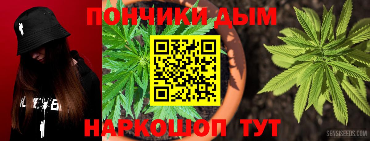 Шишки марихуана индика Новодвинск